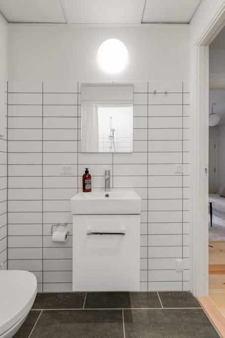 Perfect Location Apartment Copenhagen